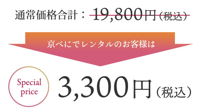 3,300円（税込）